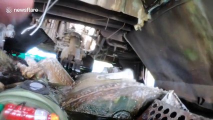 Kayakers explore haunting shipwreck in Lake Michigan