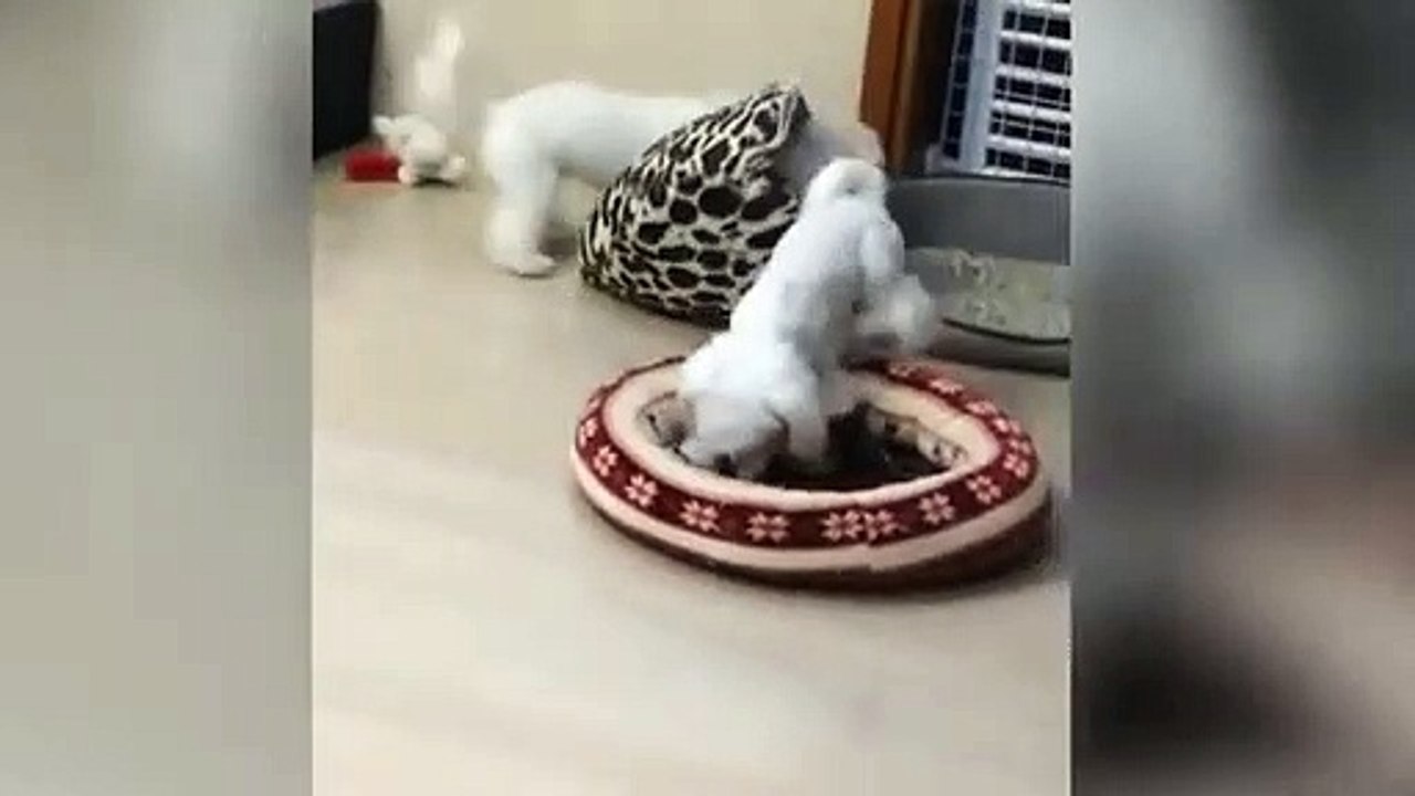 북구출장안마 -후불100%ョOiOg8109g5900｛카톡GD825｝ 북구전지역출장안마 북구오피걸 북구출장마사지 북구안마 북구출장마사지 북구콜걸샵こごさ