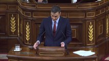 Pedro Sánchez en el debate de investidura: 