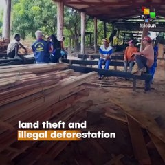 The Brazilian Amazon Is On Fire