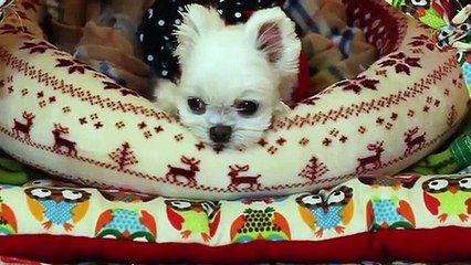 속초출장안마 -후불100%ョØ1ØA7685A6221｛카톡MGM1472｝ 속초전지역출장안마 속초오피걸 속초출장마사지 속초안마 속초출장마사지 속초콜걸샵タダチ