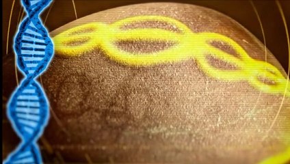 Why is there a DNA Double Helix Carved on this 7,000 Year-old Portuguese Cosmic Egg?