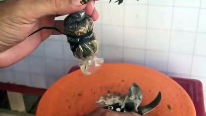 중구출장타이O7Os7575s0062｛카톡DDR88｝ぱ중구출장안@마ぱ중구출장샵ぱ중구출장맛사지 ぱ중구출장걸썰 중구출장걸가격 중구출장러시아 중구외국인후불출장업소 중구24시출장마사지샵'예약ĦĲĿ