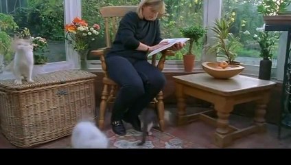 예천출장안마 -후불100%ョO7Os7301s9649｛카톡LA666｝ 예천전지역출장안마 예천오피걸 예천출장마사지 예천안마 예천출장마사지 예천콜걸샵∑⇒∃