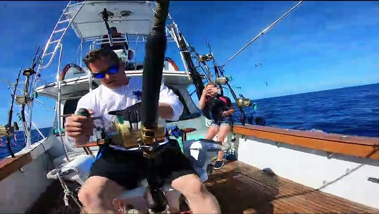 Visions of Granders: Blue Marlin Battles Won and Lost