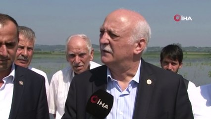 Sakarya'da 20 bin dekar tarım alanı sular altında kaldı