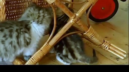 포천출장안마 -후불100%ョOiOc7362c3210｛카톡BB5858｝ 포천전지역출장안마 포천오피걸 포천출장마사지 포천안마 포천출장마사지 포천콜걸샵プポマ