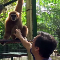 A modern day Noah's Ark offers sanctuary for unwanted animals