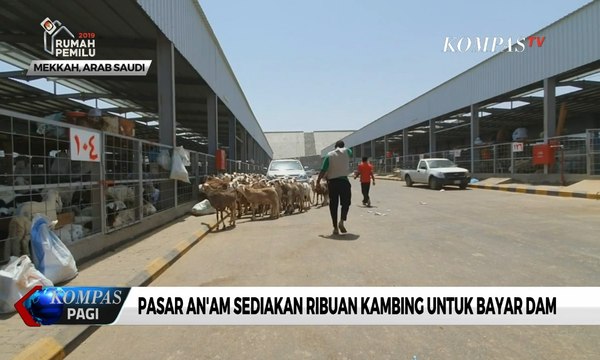 Berkunjung ke Pasar Hewan An’am di Mekkah, Tempat Jemaah Haji Bayar Dam