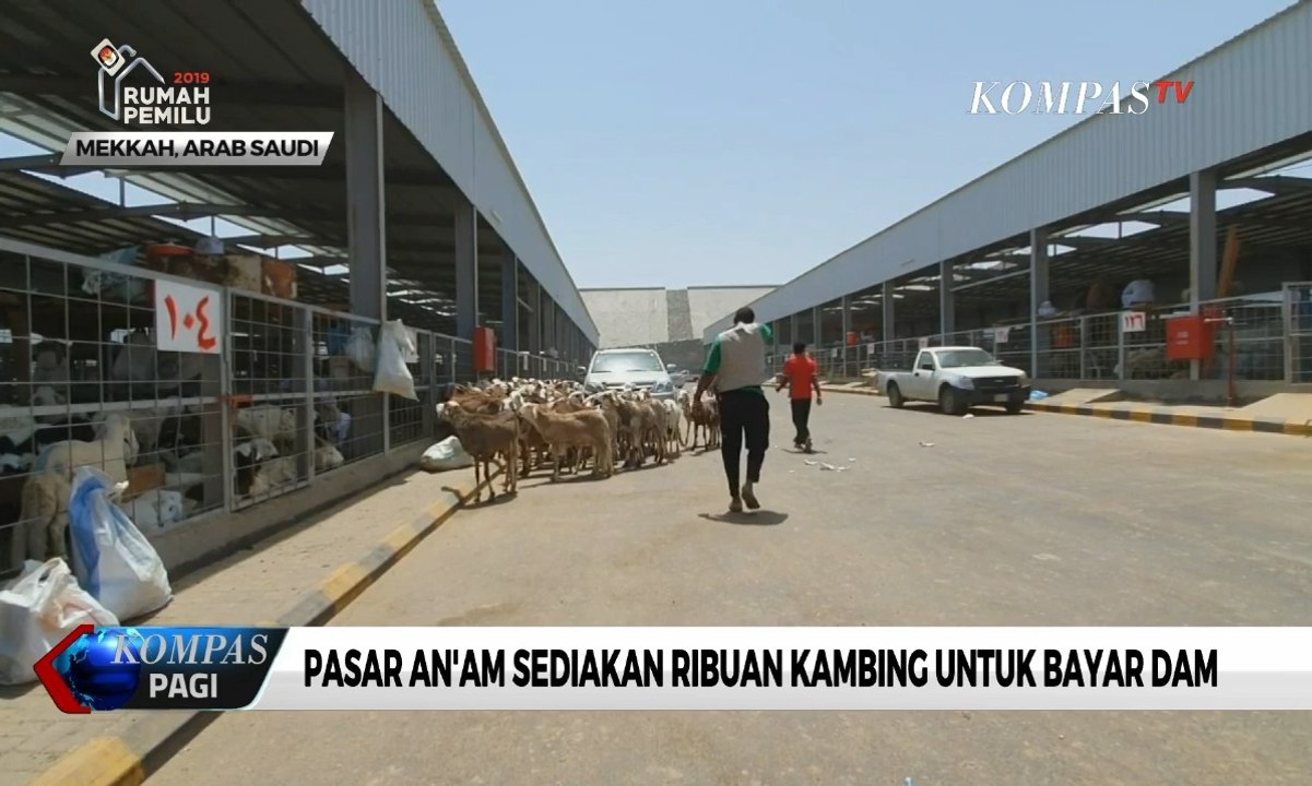 Berkunjung ke Pasar Hewan An’am di Mekkah, Tempat Jemaah Haji Bayar Dam