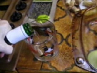 Poulet au fromage blanc et vin blanc! for