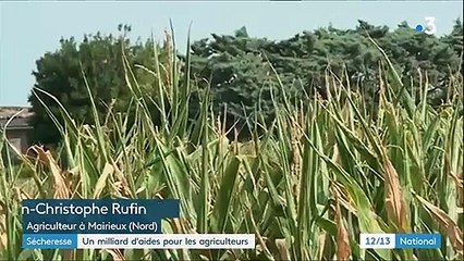 Sécheresse : une aide d'un milliard d'euros pour les agriculteurs