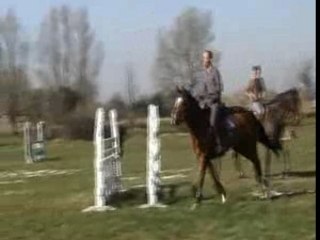 Cheval Obsession de vains