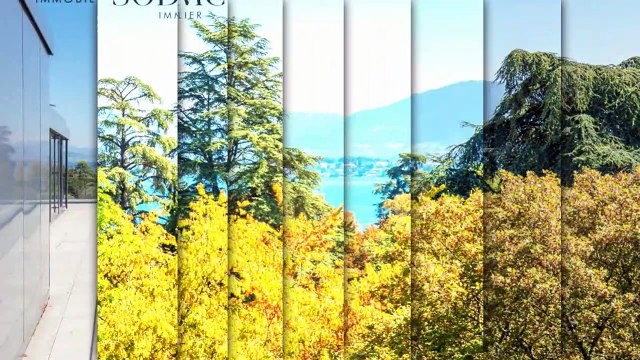 A louer - Bureau - Versoix (1290)