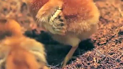 팔달출장안마 -후불100%ョO7OW7301W9649｛카톡LA666｝ 팔달전지역출장안마 팔달오피걸 팔달출장마사지 팔달안마 팔달출장마사지 팔달콜걸샵ピフブ