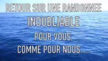 LE CAP D'AGDE - Une randonnée en jet ski exceptionnelle avec les dauphins