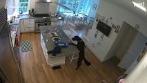 US security camera catches sneaky dog stealing chicken from table