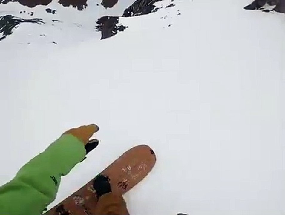 Un chien dévale une pente enneigée