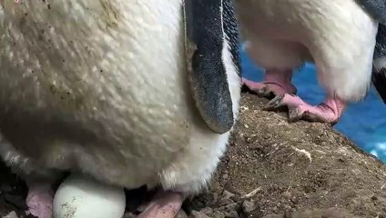 구리출장타이O7Os7301s9649｛카톡LA25｝ぱ구리출장안@마ぱ구리출장샵ぱ구리출장맛사지 ぱ구리출장걸썰 구리출장걸가격 구리출장러시아 구리외국인후불출장업소 구리24시출장마사지샵'예약ИЙК