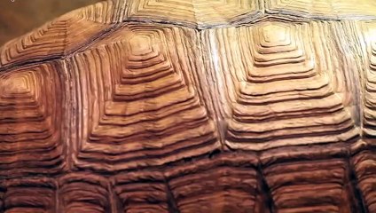 증평출장안마 -후불100%ョ 070c5180c1619｛카톡NX34｝ 증평전지역출장안마 증평오피걸 증평출장마사지 증평안마 증평출장마사지 증평콜걸샵БГД