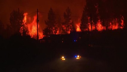 포르투갈 중부서 또 큰 산불...소방대 천800명 진화 중 / YTN