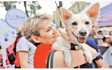 Así celebraron en redes sociales el Día Mundial del Perro