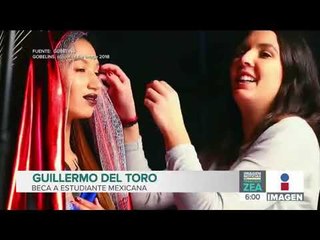 Guillermo del Toro beca a estudiante mexicana para estudiar una maestría en París | Francisco Zea