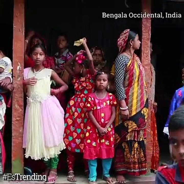 Gallina Pone Huevos De "Oro"