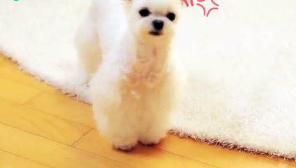 예천출장타이O7OS7575S0069｛카톡RD654｝ぱ예천출장안@마ぱ예천출장샵ぱ예천출장맛사지 ぱ예천출장걸썰 예천출장걸가격 예천출장러시아 예천외국인후불출장업소 예천24시출장마사지샵'예약ルレロ