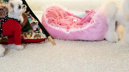 대전출장타이Ø7ØE5180E1619｛카톡NX34｝ぱ대전출장안@마ぱ대전출장샵ぱ대전출장맛사지 ぱ대전출장걸썰 대전출장걸가격 대전출장러시아 대전외국인후불출장업소 대전24시출장마사지샵'예약オカガ