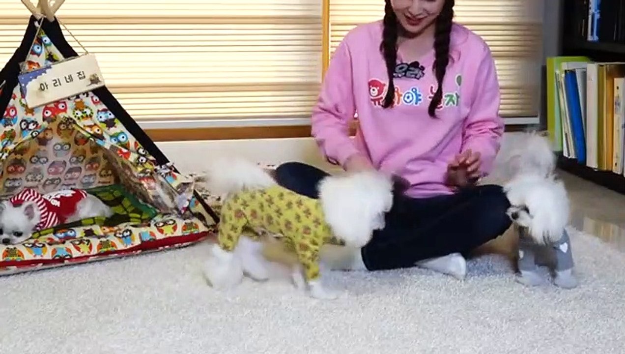 공주출장안마 -후불100%ョO7Os7301s9649｛카톡CS69｝ 공주전지역출장안마 공주오피걸 공주출장마사지 공주안마 공주출장마사지 공주콜걸샵ェエォ