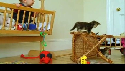 완산구출장안마 -후불100%ョ070c7575c0048｛카톡XN94｝ 완산구전지역출장안마 완산구오피걸 완산구출장마사지 완산구안마 완산구출장마사지 완산구콜걸샵ヮワヰ