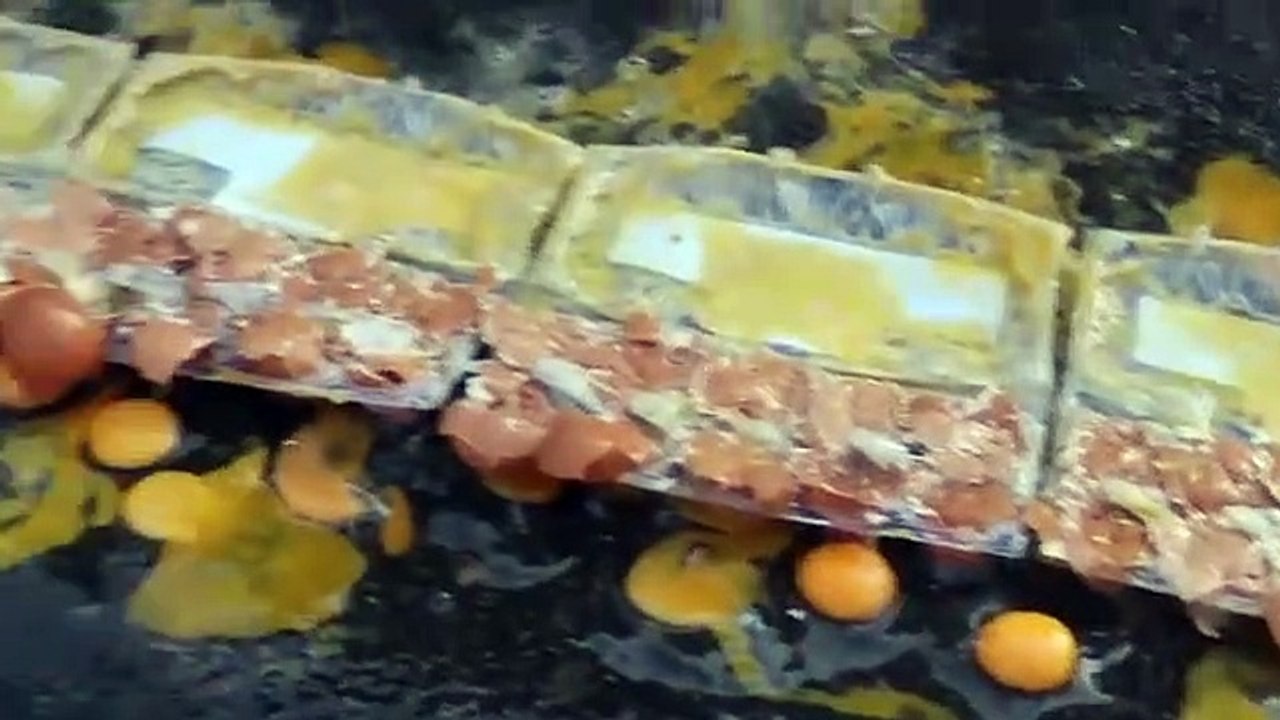 EXPERIMENT- CAR vs 100 PEPSI Cans