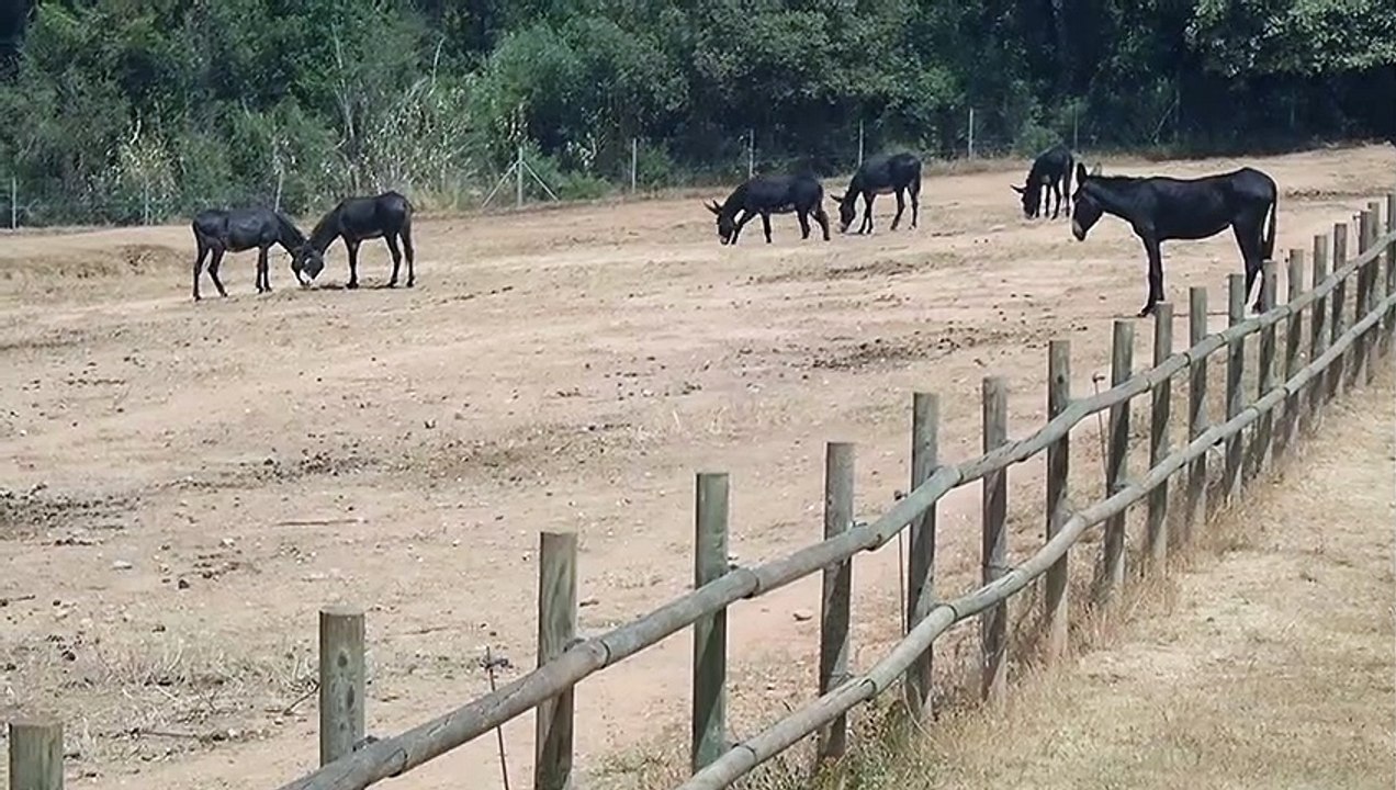 Arrivés à Vilopriu