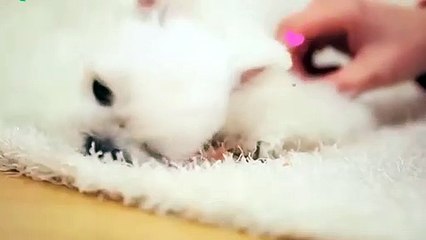 완산구출장안마 -후불100%ョOiOg8109g5900｛카톡GD825｝ 완산구전지역출장안마 완산구오피걸 완산구출장마사지 완산구안마 완산구출장마사지 완산구콜걸샵ЧШЩ