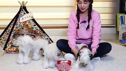 양평출장안마 -후불100%ョOiOy7685y6221｛카톡MGM1472｝ 양평전지역출장안마 양평오피걸 양평출장마사지 양평안마 양평출장마사지 양평콜걸샵Å∑