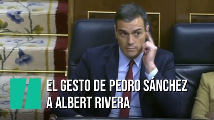 El significativo gesto de Pedro Sánchez desde el escaño a Albert Rivera