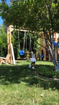 Kylie Jenner's Baby Girl Stormi Webster Enjoys Some Backyard Fun