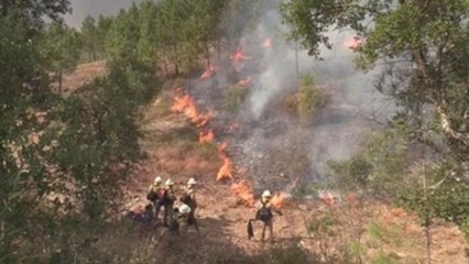 Portugal refuerza el combate contra el fuego: 1.400 bomberos y medios aéreos