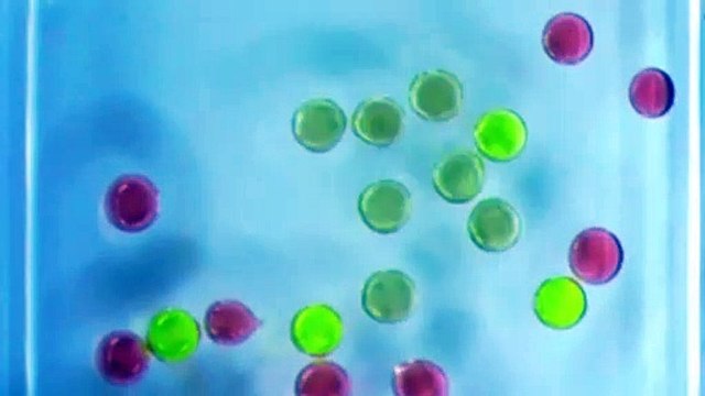 Científicos desarrollan imanes líquidos con gotas magnéticas