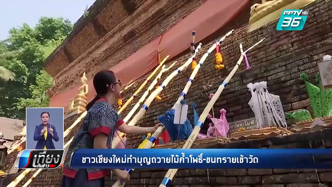 สงกรานต์ 62 | ชาวเชียงใหม่ทำบุญถวายไม้ค้ำโพธิ์-ขนทรายเข้าวัด | เที่ยงทันข่าว