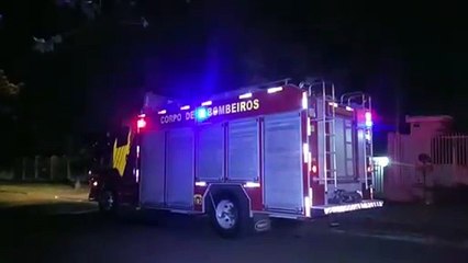 Bombeiros são acionados no Bairro Neva para capturar cachorro