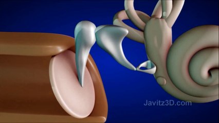 PARINAMAM പരിണാമം EVOLUTION YUKTHIVADI FREETHINKERS YUKTHIVADAM ATHEIST KERALA SCIENTIFIC MALAYALAM