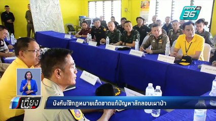 บังคับใช้กฎหมายเด็ดขาดแก้ปัญหาลักลอบเผาป่า | เที่ยงทันข่าว