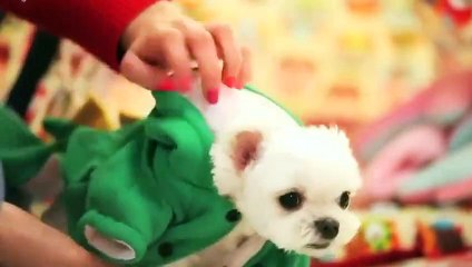 동두천출장안마 -후불100%ョ 070c5180c1619｛카톡NX34｝ 동두천전지역출장안마 동두천오피걸 동두천출장마사지 동두천안마 동두천출장마사지 동두천콜걸샵⊙♤℉