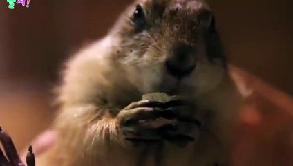 파주출장타이O7Os7575s0062｛카톡DDR88｝ぱ파주출장안@마ぱ파주출장샵ぱ파주출장맛사지 ぱ파주출장걸썰 파주출장걸가격 파주출장러시아 파주외국인후불출장업소 파주24시출장마사지샵'예약◐▤▥