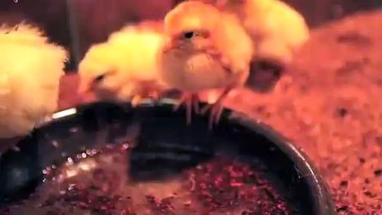 단원출장안마 -후불100%ョO7OW7333W9649｛카톡VV23} 단원전지역출장안마 단원오피걸 단원출장마사지 단원안마 단원출장마사지 단원콜걸샵りるれ