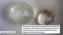 Fossil Clams Found In Florida Quarry Reveal Traces Of Ancient Meteorite