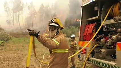 Se reanudan los incendios en Portugal a causa de los vientos