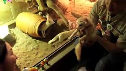 울산출장타이 070c5180c1619｛카톡NX34｝ぱ울산출장안@마ぱ울산출장샵ぱ울산출장맛사지 ぱ울산출장걸썰 울산출장걸가격 울산출장러시아 울산외국인후불출장업소 울산24시출장마사지샵'예약СТУ